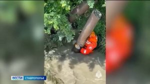 Александр Бастрыкин поручил возбудить уголовное дело о пропаже девочки в Ессентуках