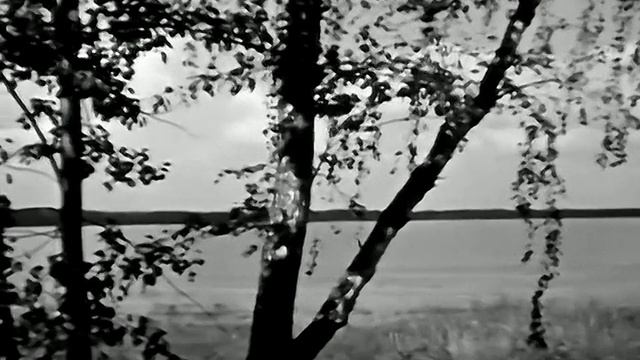 1981 год. Тюменская область. Июль