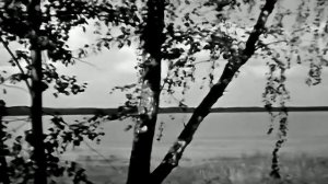 1981 год. Тюменская область. Июль
