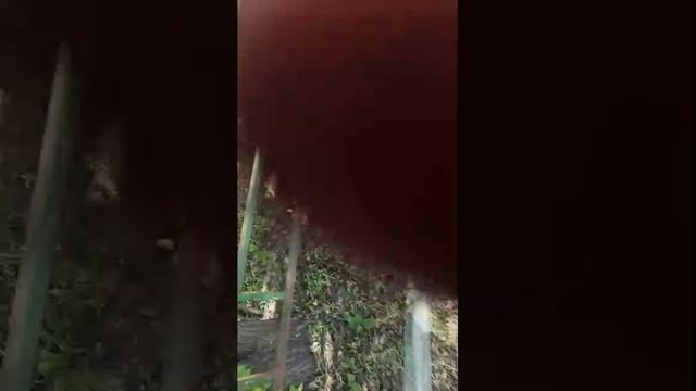 dj смотреть онлайн
