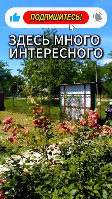 🏡Недорогой Дом - Огромный Участок✅60 м²🦯40 соток💰1 700 000 ₽ 🦯станица Канеловская🦯89245404992🌴