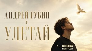 Андрей Губин - Улетай (Remix 2026)