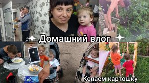 Домашний влог. Копаем картошку. Весь день готовлю.
