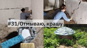 #31/Отмываю и крашу курятник, наши цыплята. Купили Дом в Краснодарском крае