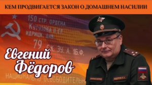 Евгений Фёдоров. Кем продвигается Закон о домашнем насилии