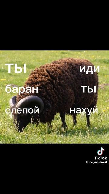 Обращение к тупым хейтером из описания