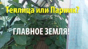 Теплица или Парник? ГЛАВНОЕ ЗЕМЛЯ!