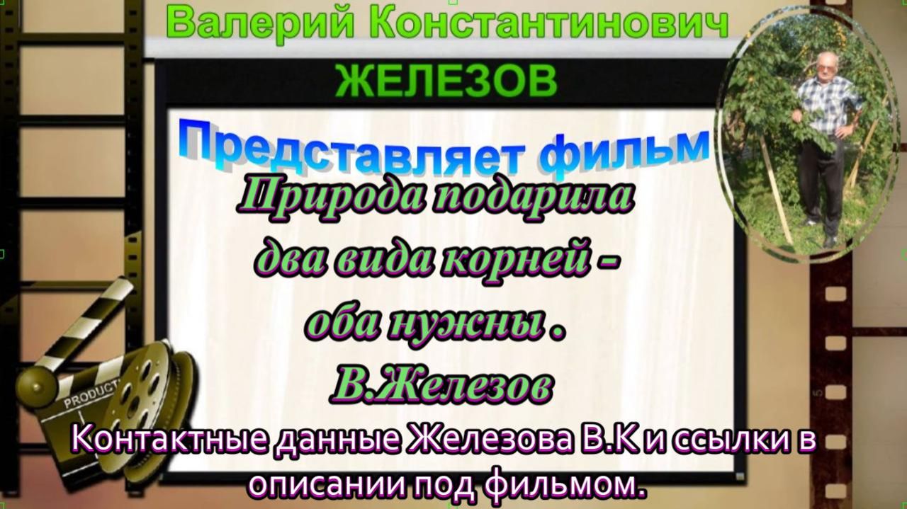 Природа подарила два вида корней- оба нужны . В.Железов