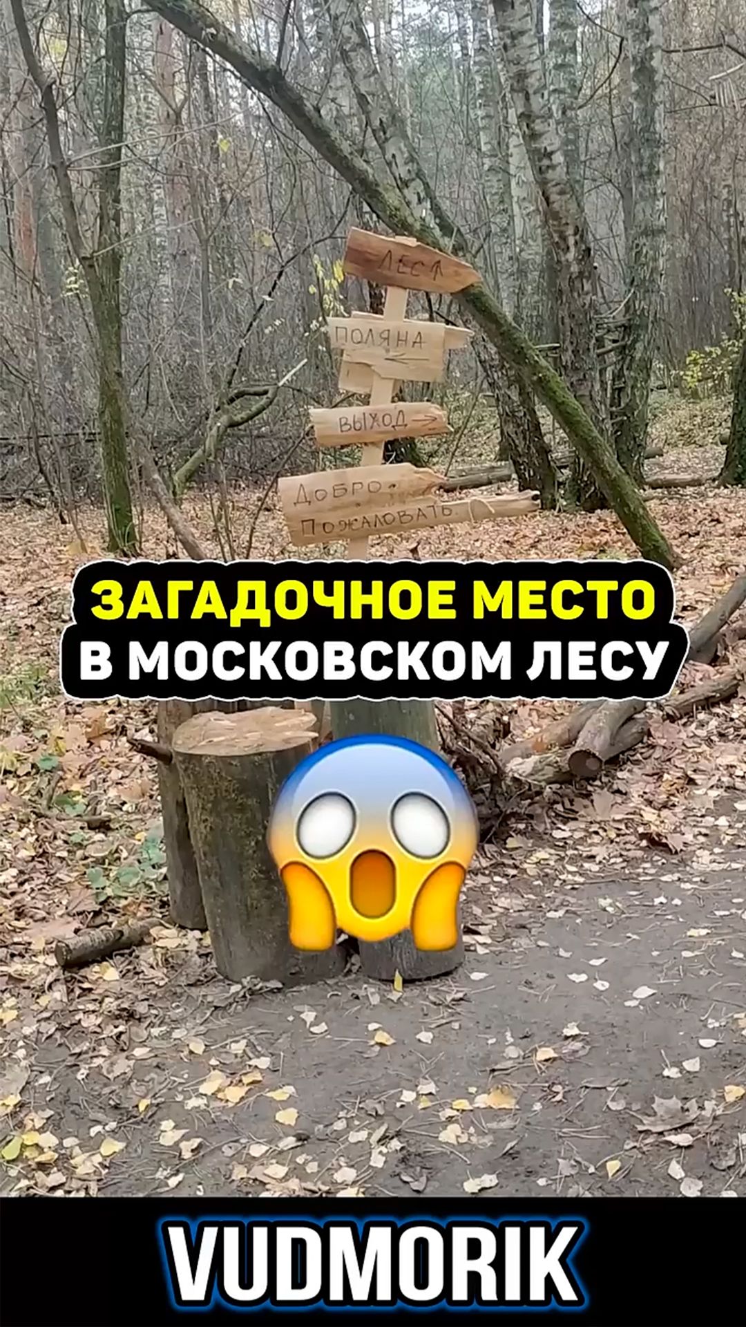 Разное из жизни