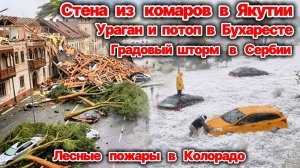 Стена из комаров в Якутии❗ Ураган и потоп в Бухаресте❗ Градовый шторм в Сербии❗ Пожары в Колорадо❗