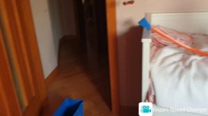 Вот этого мы не ожидали😅