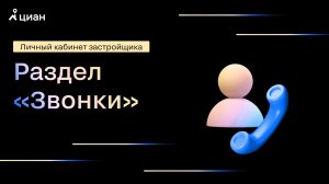 2. Раздел «Звонки»