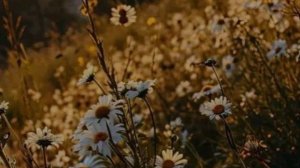 💘РУМ-ТУР💘АВ#Лю Вас💋