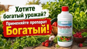 Вашим огурцам и помидорам не хватает этого! Богатый урожай начинается здесь