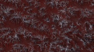 HiRISE — Аранеобразная местность · 8K