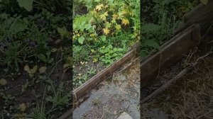 Затапливает участки