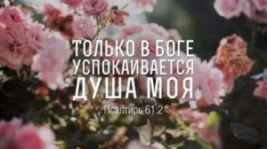 Все раны заживут....