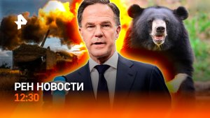 Украину хотят оставить без помощи ЕС / Медведь во Владивостоке / РЕН Новости 1.07, 12:30