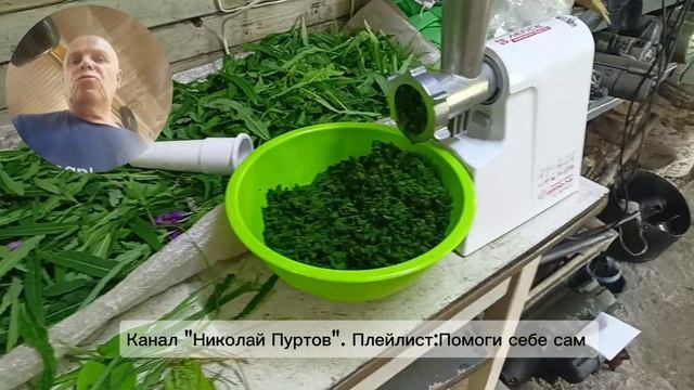 Ферментируем Иван-чай, смородину, малину