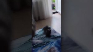 всем Хай!!
