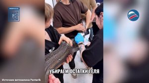Необычный обед: питон съел щетку, потребовалась помощь ветеринаров