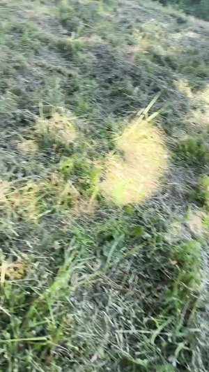 гуляем по старому городу