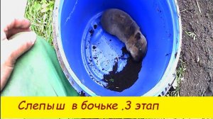 Слепыш в бочке 3  этап