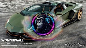Wonderwall - Josh Fawaz