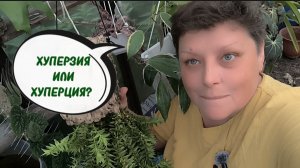 ЭКО-ПОСАДКА ХУПЕРЗИЙ. 02-07-2026