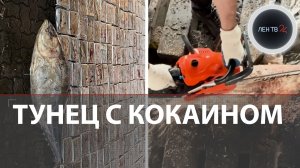 «Икра, икра!» | Полтонны кокаина нашли в тунце в порту Петербурга