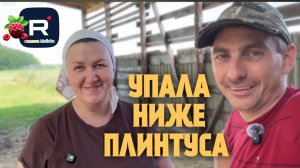 Упала ниже плинтуса /Деревенский дневник очень многодетной мамы /Обзор
