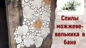 спилы можжевельника в парной
