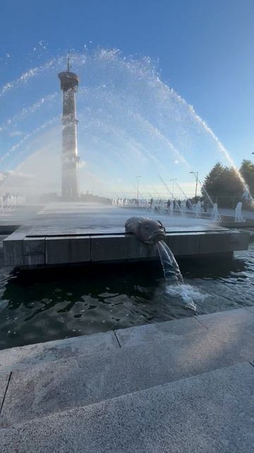 Великолепный Санкт-Петербург