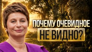 Конец всех проблем: Как перестать искать причины в прошлом