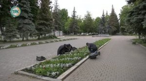 В Новомосковске организованы трудовые бригады школьников