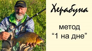 Херабуна. Ловля карася азиатским методом. Часть 5. Стиль «1 на дне»