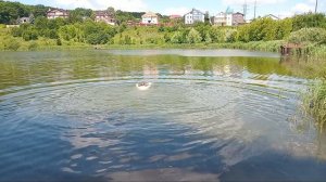 Купаюсь в Щёлоковском хуторе 1.07.2026г.