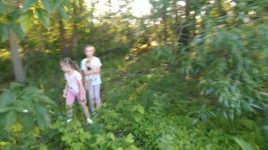 🌿Влог||идём в лес|квд🌿