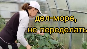 Дел море, не переделаешь))) 03.07.2026