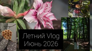 летний VLOG июнь 2026