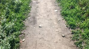 Опять-таки веселье и анекдоты