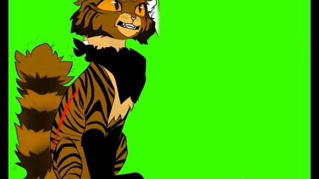 Модельки для коллабов и тд. пока не уехала