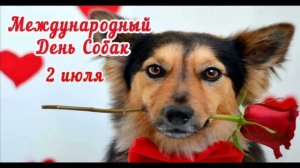 2 ИЮЛЯ.МЕЖДУНАРОДНЫЙ ДЕНЬ СОБАКИ. ИНТЕРЕСНЫЕ ФАКТЫ.