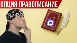Мессенджер МАКС: опция правописание | Как исправить ошибки в тексте автоматически