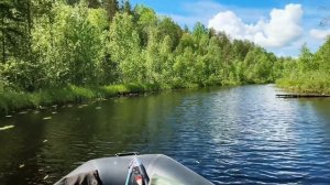 Хотел наловить форели, а наловил окуней.