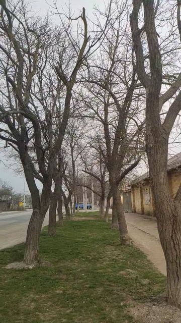 Вот такой день в городе Евпатория | 1 апреля 2022 год | Крым | ХАН БАТОН | VID_20220401_142432