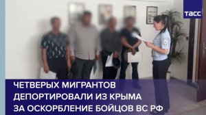 Четверых мигрантов депортировали из Крыма за оскорбление бойцов ВС РФ