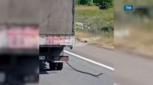 Московский водитель уехал с тульской заправки, прихватив с собой шланг
