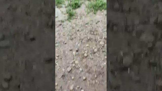 оаоаоаоа смотреть онлайн