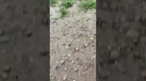 оаоаоаоа